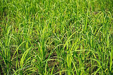 Steam新游周报：经典恐怖游戏新作登场！